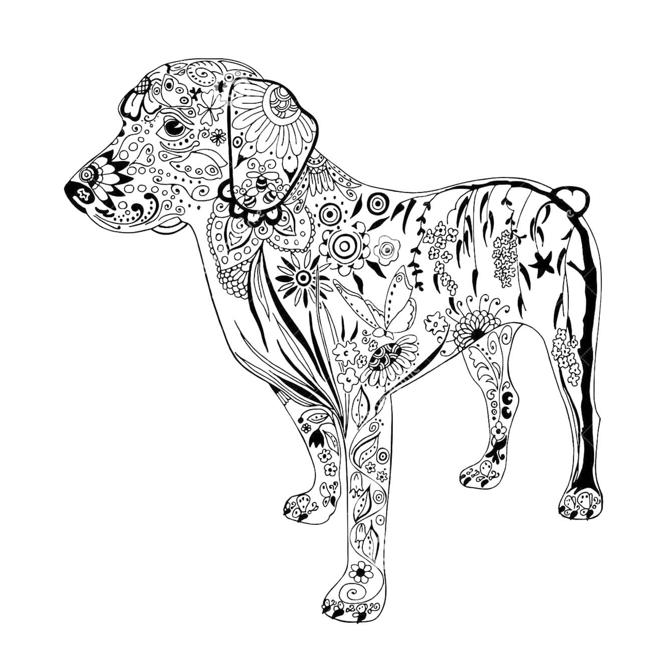 Coloriage Dessiner Adulte Animaux gratuit à imprimer