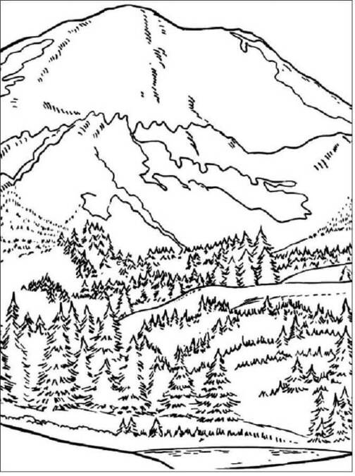 Coloriage Belle forêt de conifères et montagnes