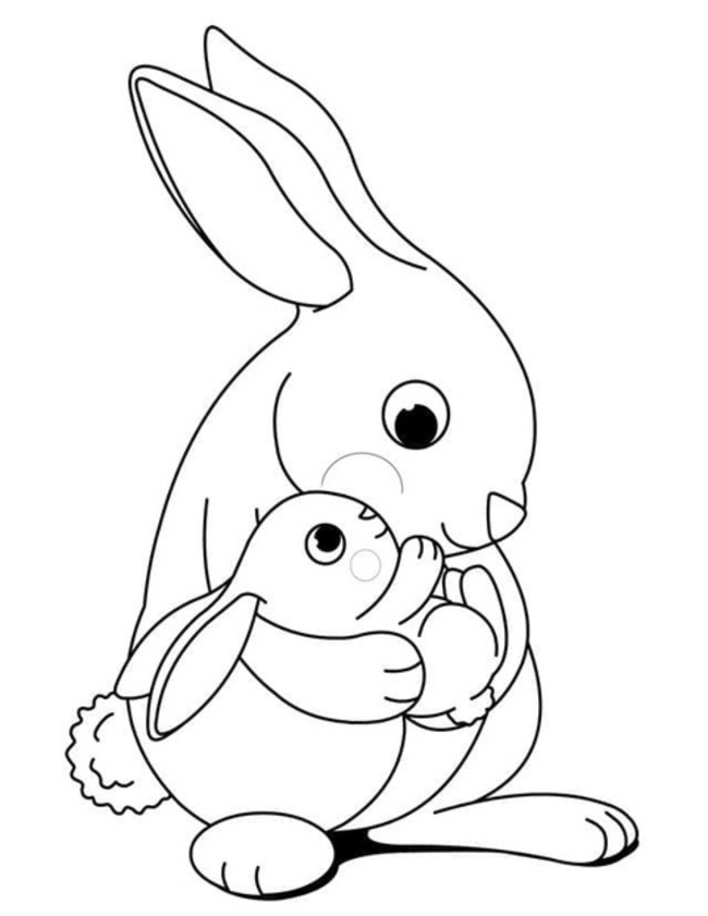 Coloriage Dessine mère et bébé lièvre à imprimer