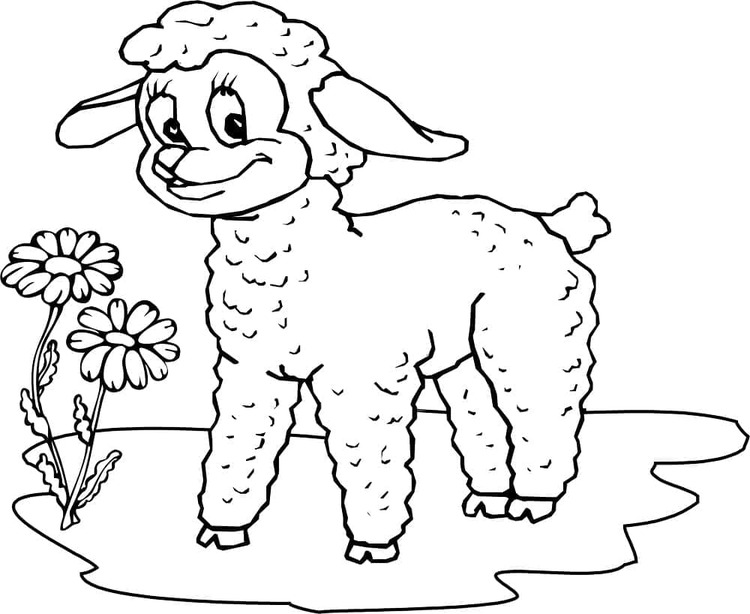 Coloriage Dessine petit animé d'agneau