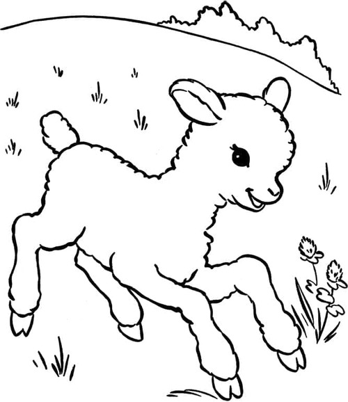 Coloriage Dessine un bébé mignon d'agneau