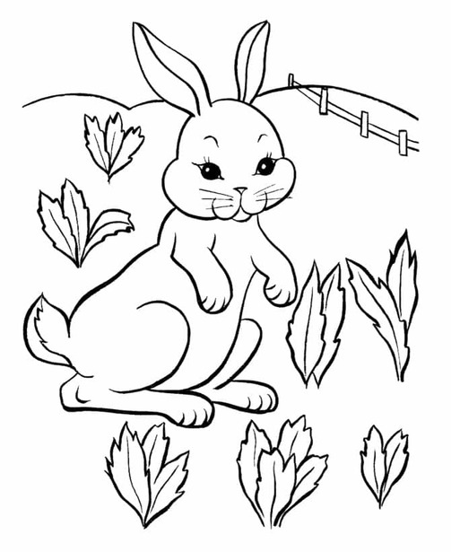 Coloriage Dessine un lièvre dans le jardin à imprimer