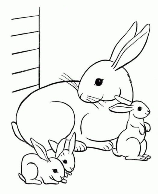 Coloriage Dessine une famille de lièvre à imprimer