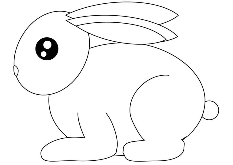 Coloriage Dessiner un lièvre kawaii à imprimer