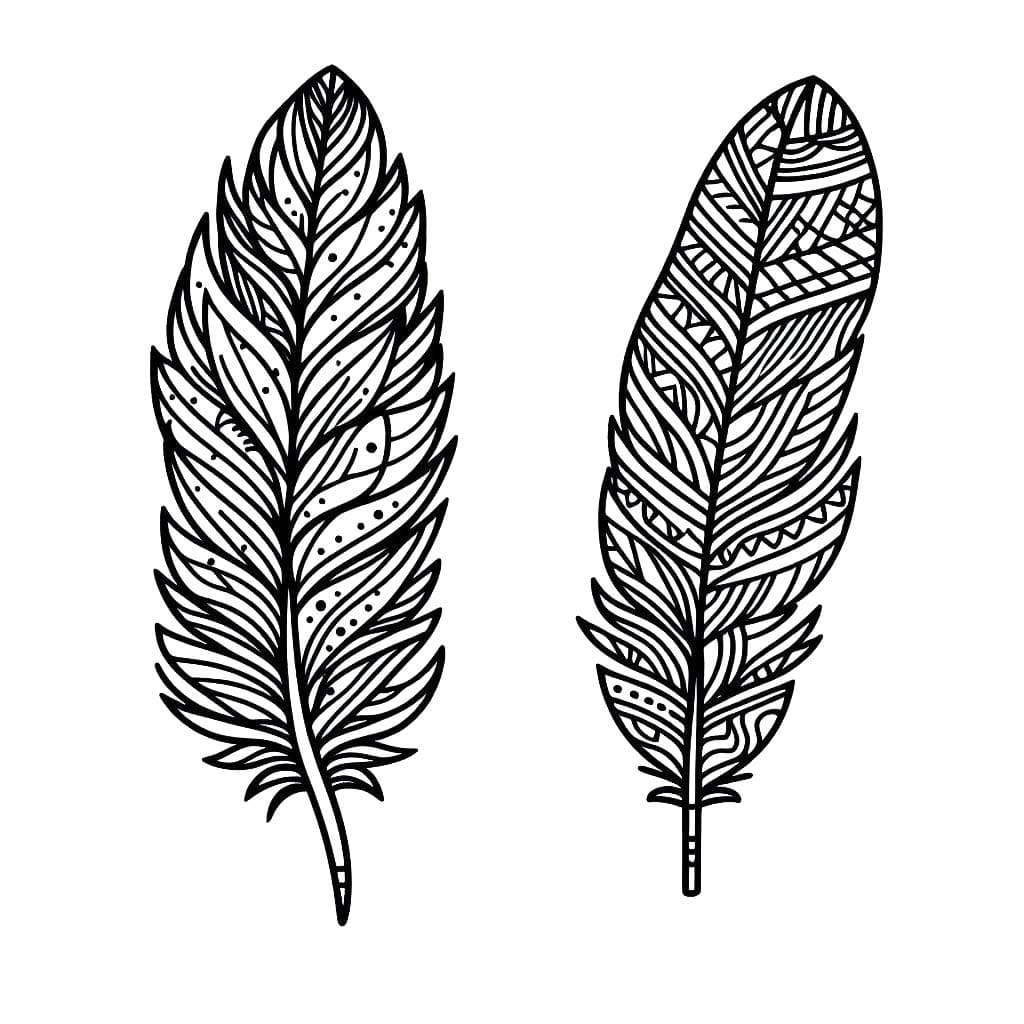 Coloriage Dessinez deux plumes