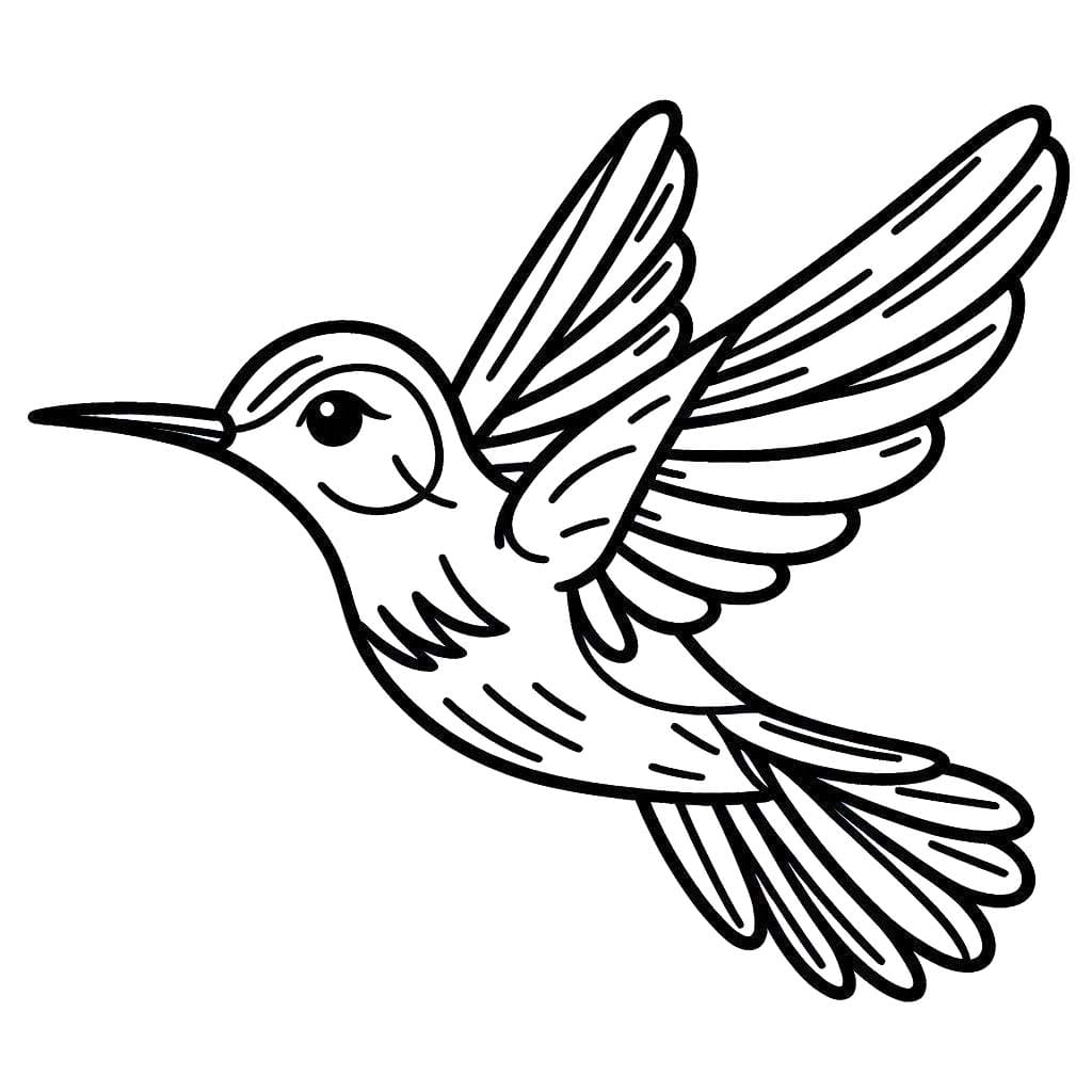 Coloriage Dessin Colibri 1