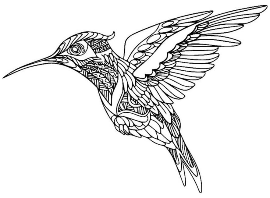 Coloriage Dessin Colibri 2