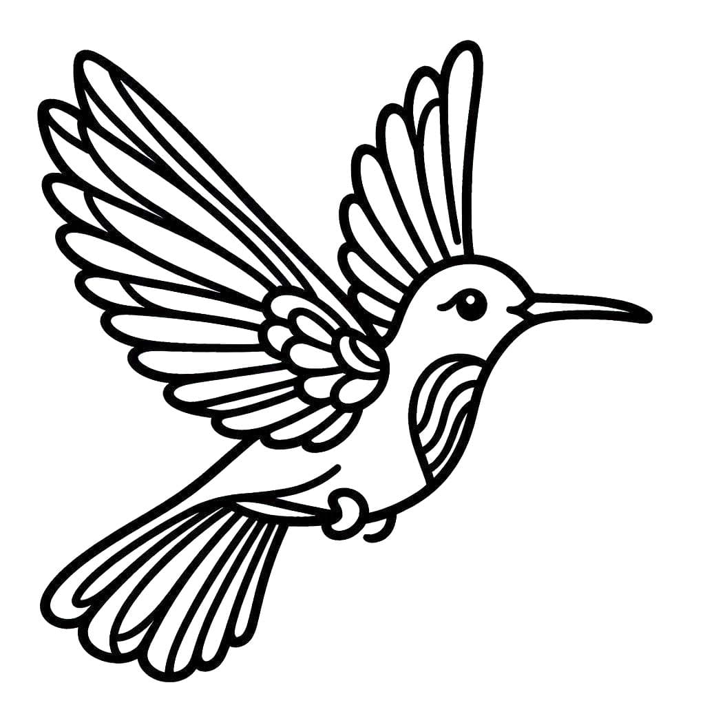 Coloriage Dessin Colibri 3