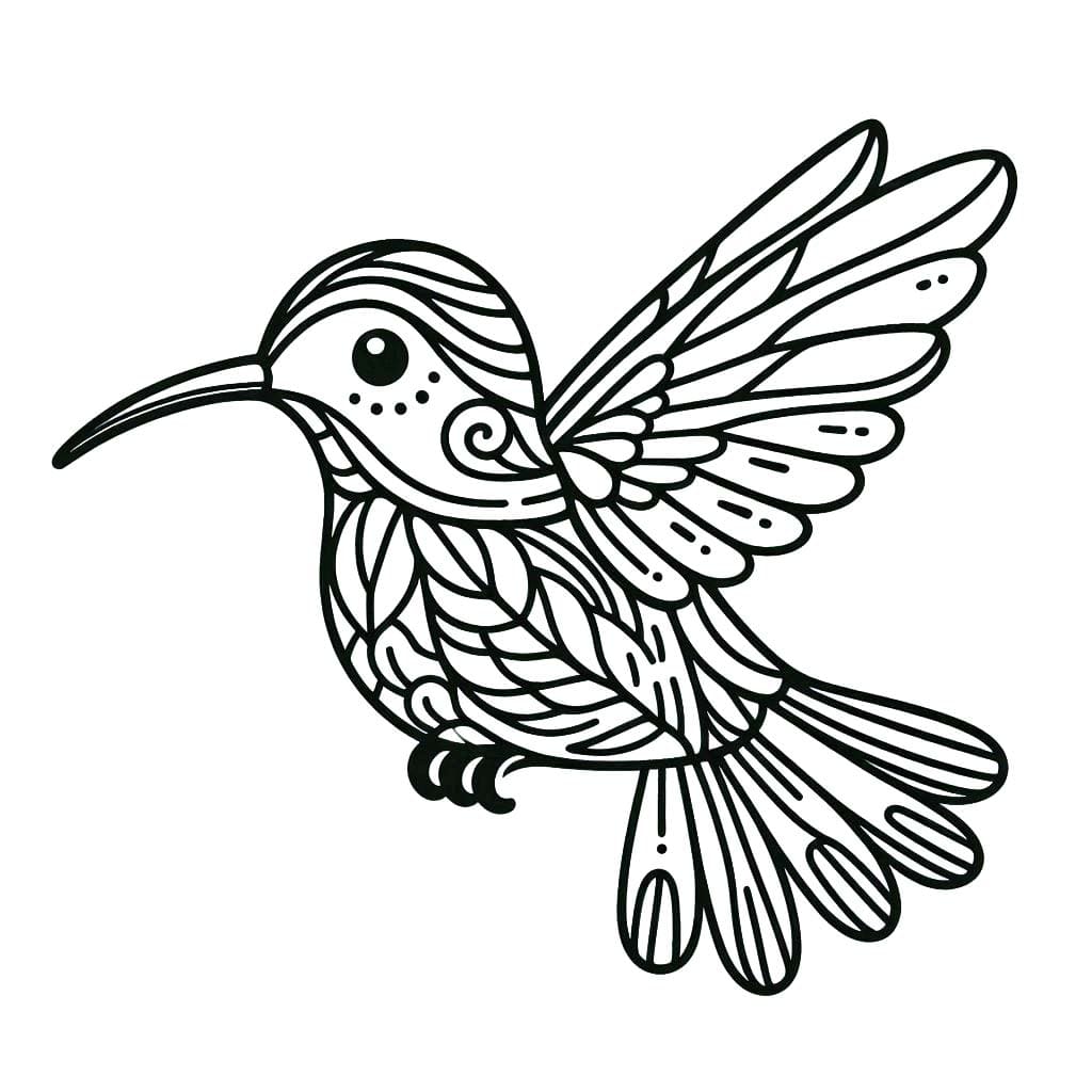Coloriage Dessin Colibri 5