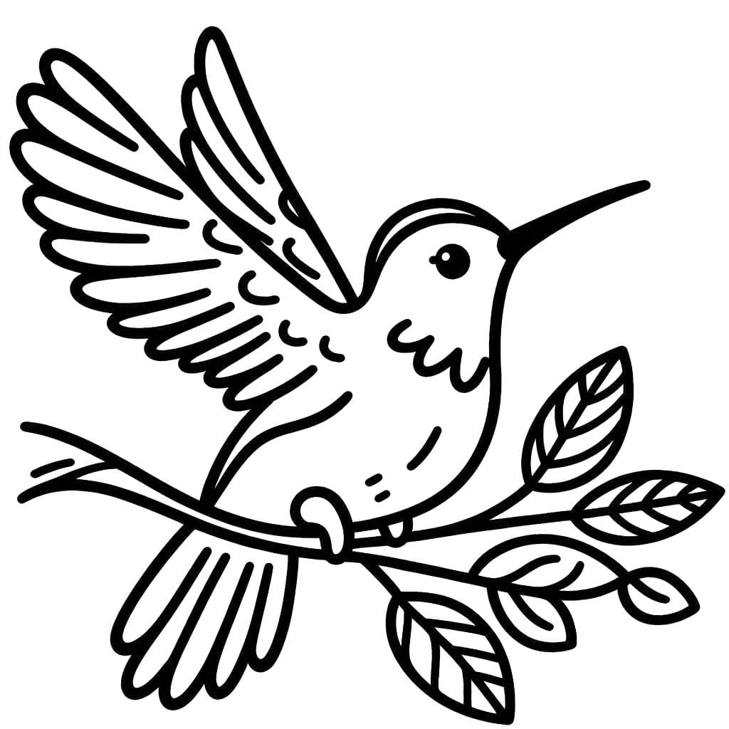 Coloriage Dessin Colibri 6