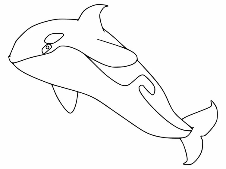 Coloriage Dessin Orque très facile à imprimer
