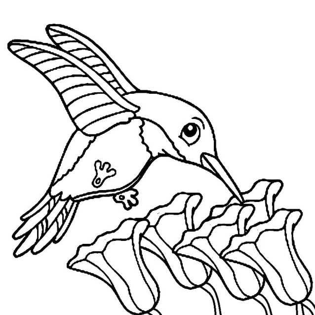 Coloriage Dessine Colibri très mignon