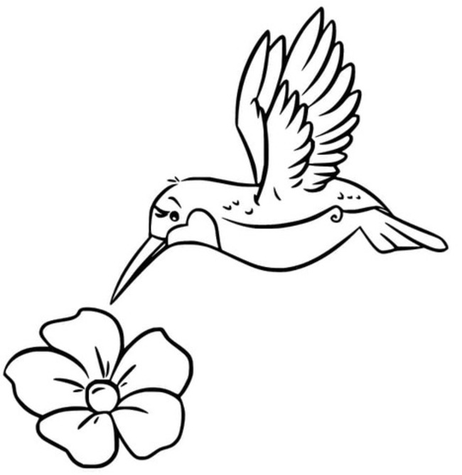 Coloriage Dessiner Colibri très basique