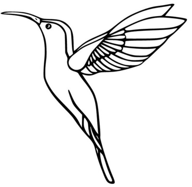 Coloriage Dessiner Colibri très facile