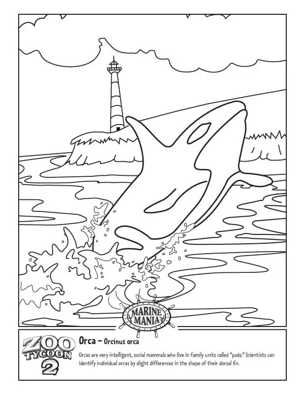 Coloriage Dessiner Orque gratuit pour les enfants à imprimer