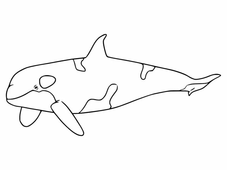 Coloriage Dessiner Orque mignon à imprimer