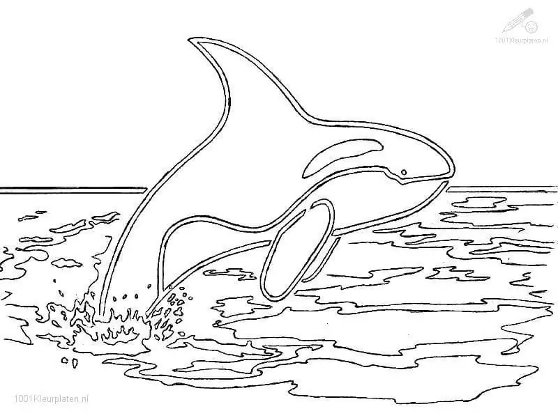 Coloriage Dessiner Orque très simple à imprimer
