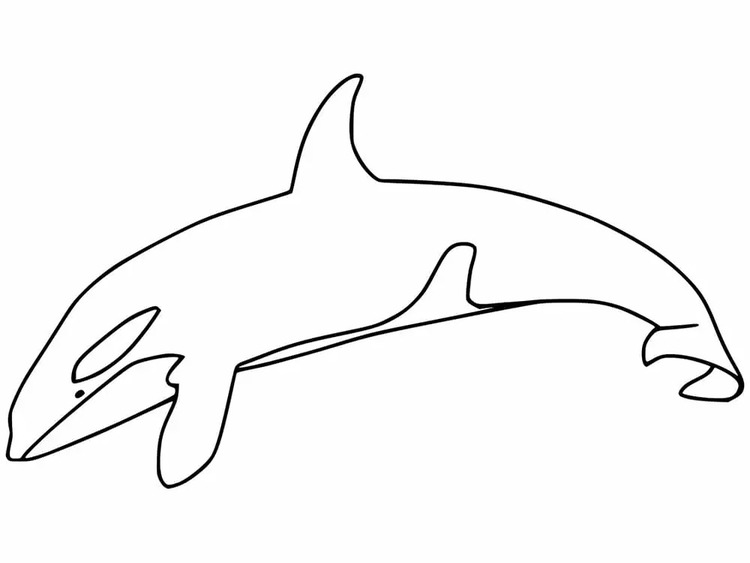 Coloriage Imprimable gratuite Orque à imprimer