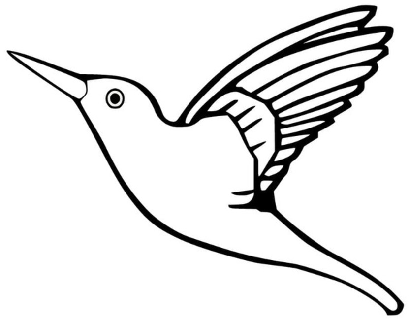 Coloriage Très basique Colibri