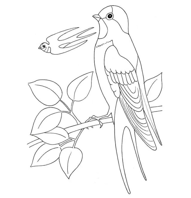 Coloriage Dessiner Hirondelle chez enfants