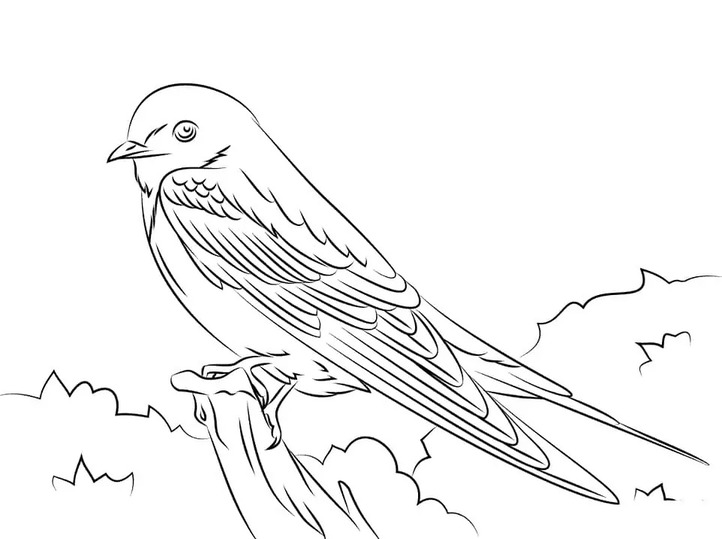 Coloriage Dessiner Hirondelle facile