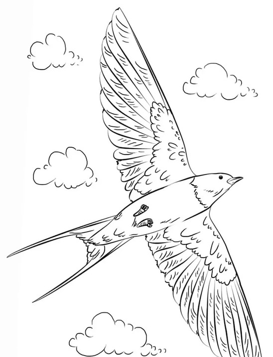Coloriage Dessiner Hirondelle imprimable gratuite