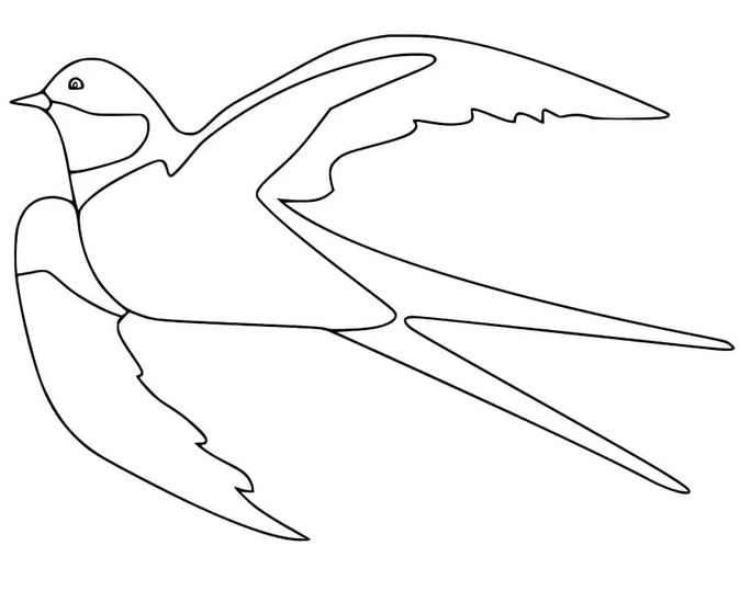 Coloriage Dessiner Hirondelle pour les enfants