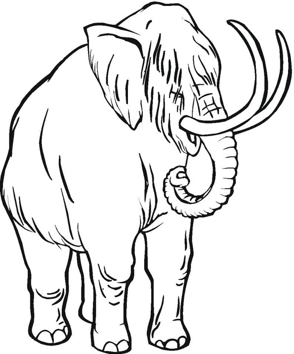 Coloriage Dessiner Mammouth chez enfants