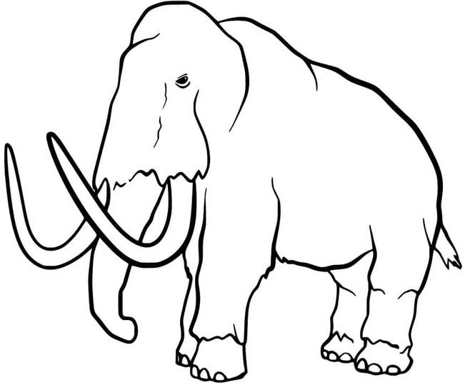 Coloriage Dessiner Mammouth chez les enfants