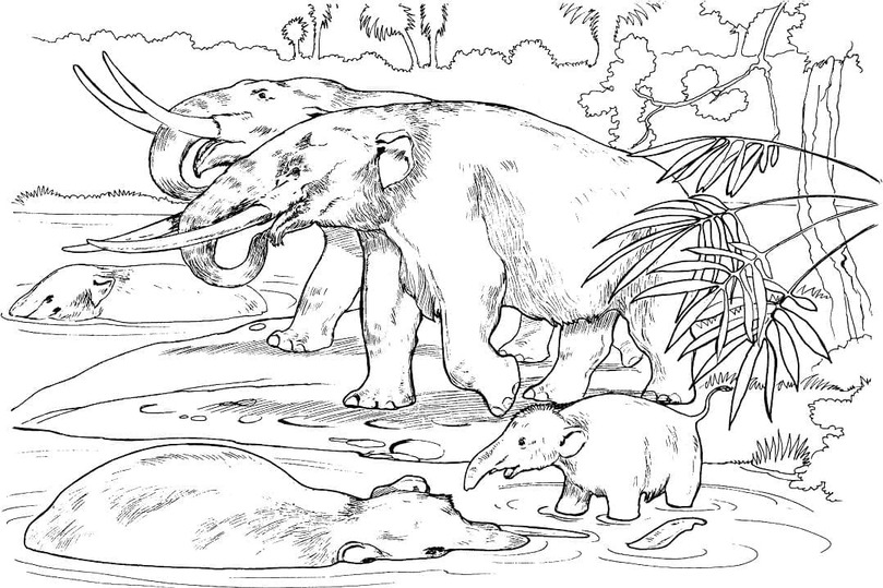 Coloriage Dessiner Mammouth facile