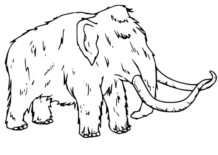 Coloriage Dessiner Mammouth gratuit pour les enfants