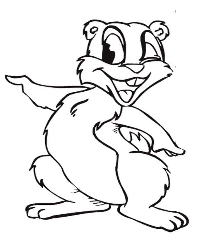 Coloriage Dessiner Marmotte basique