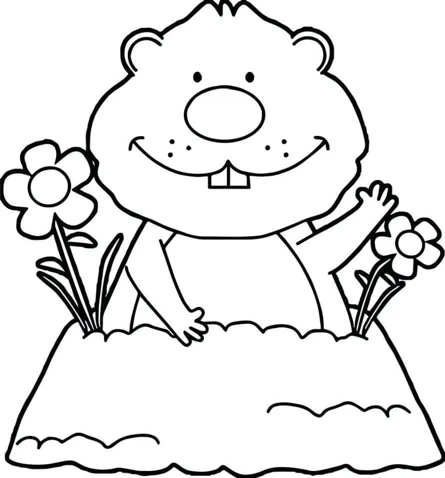 Coloriage Dessiner Marmotte heureux