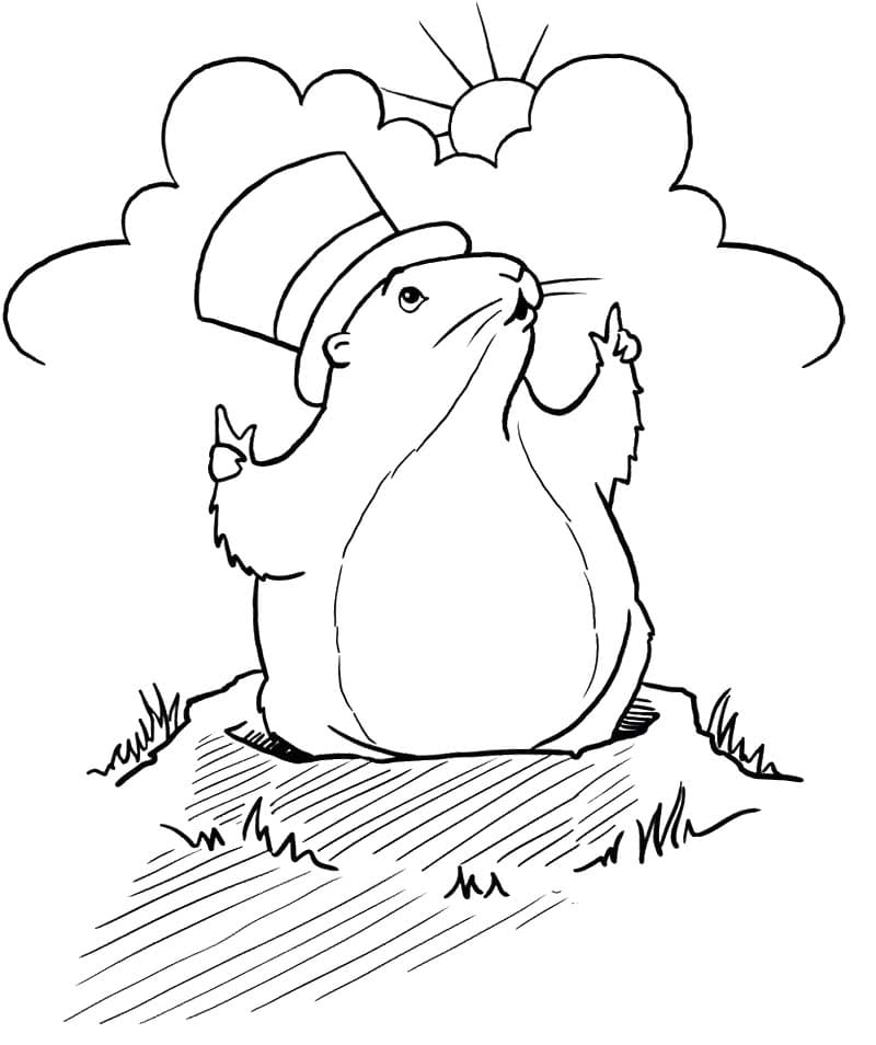 Coloriage Dessiner Marmotte imprimable