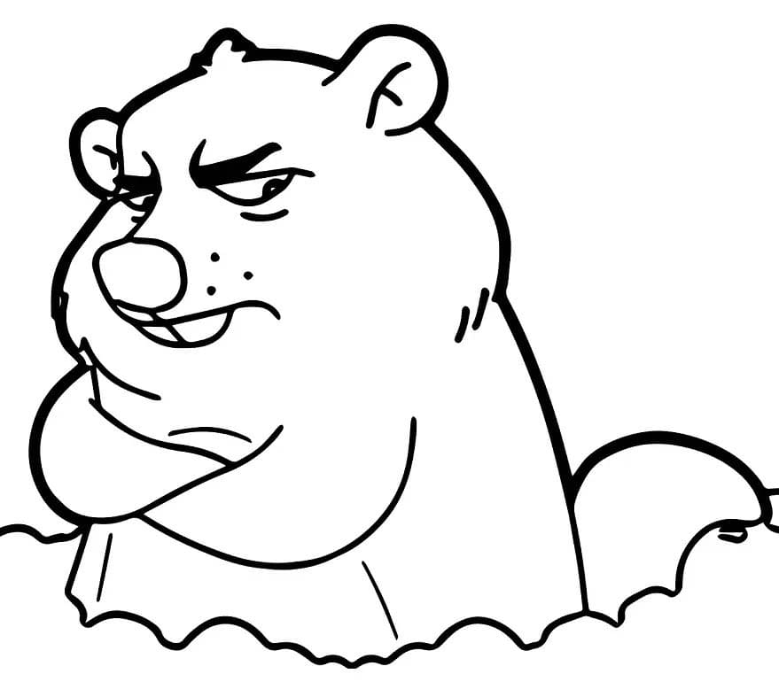 Coloriage Dessiner Marmotte mine renfrognée