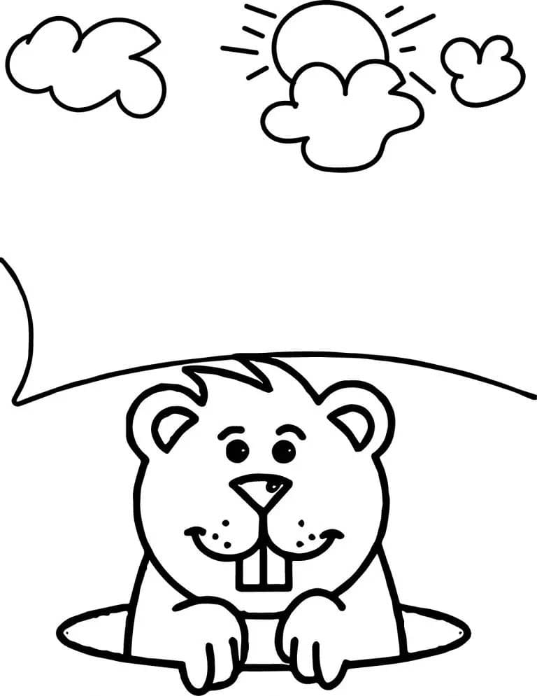 Coloriage Dessiner Marmotte pour enfants
