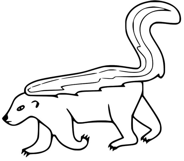 Coloriage Dessiner mouffette gratuit pour les enfants