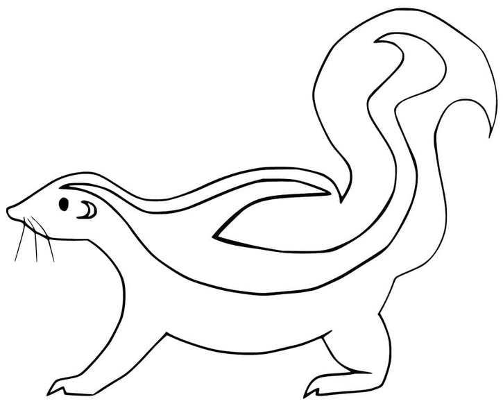 Coloriage Dessiner mouffette imprimable gratuite