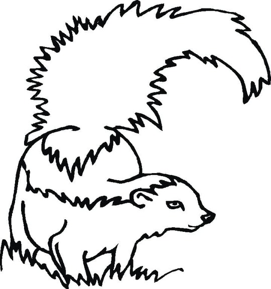 Coloriage Dessiner mouffette imprimable pour les enfants