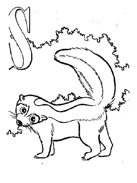 Coloriage Dessiner mouffette pour enfant