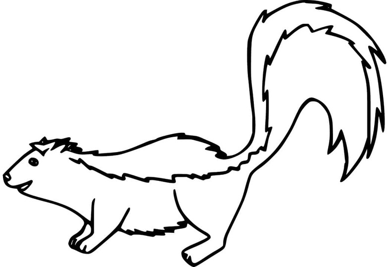 Coloriage Dessiner mouffette simple