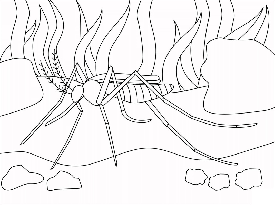 Coloriage Dessiner Moustique pour enfant