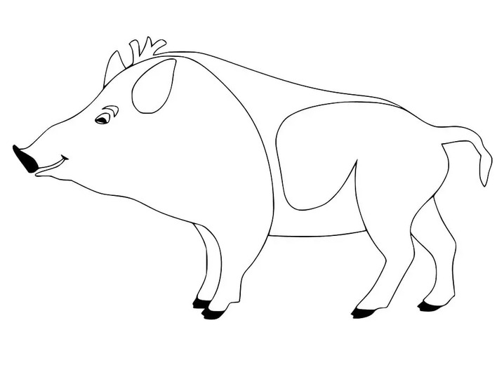 Coloriage Dessiner Sanglier