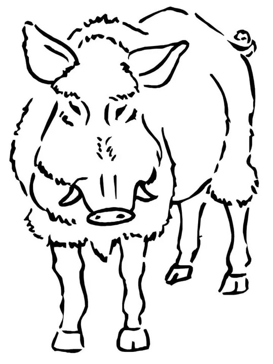 Coloriage Dessiner Sanglier gratuite imprimable