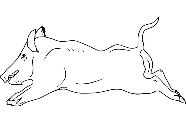 Coloriage Dessiner sanglier imprimer pour les enfants
