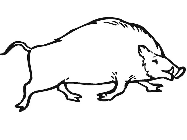 Coloriage Dessiner Sanglier simple