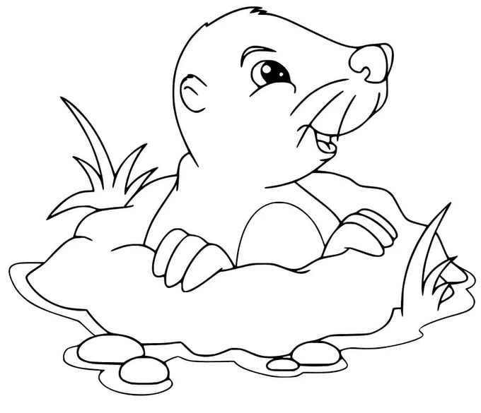 Coloriage Dessiner Taupe imprimable