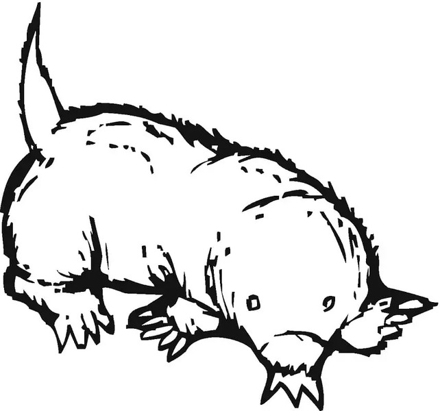 Coloriage Dessiner Taupe pour enfants