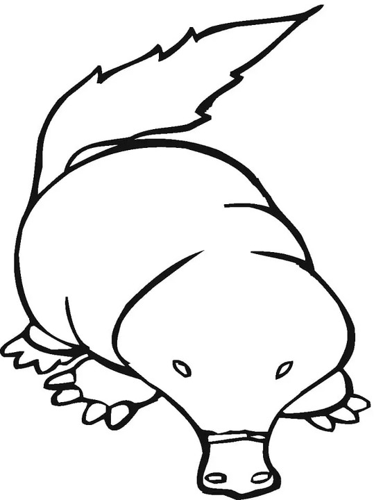 Coloriage Dessiner Taupe très simple