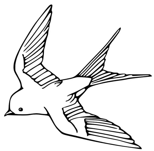 Coloriage Hirondelle gratuit pour les enfants